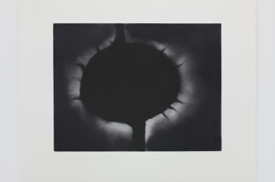 Anish Kapoor